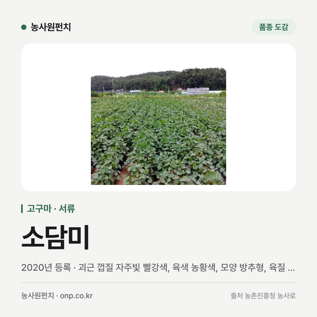소담미