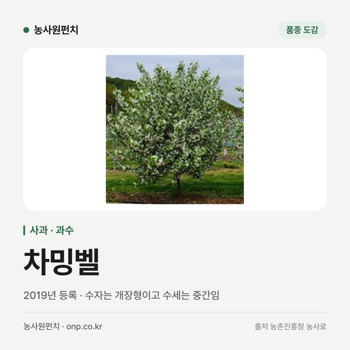 차밍벨