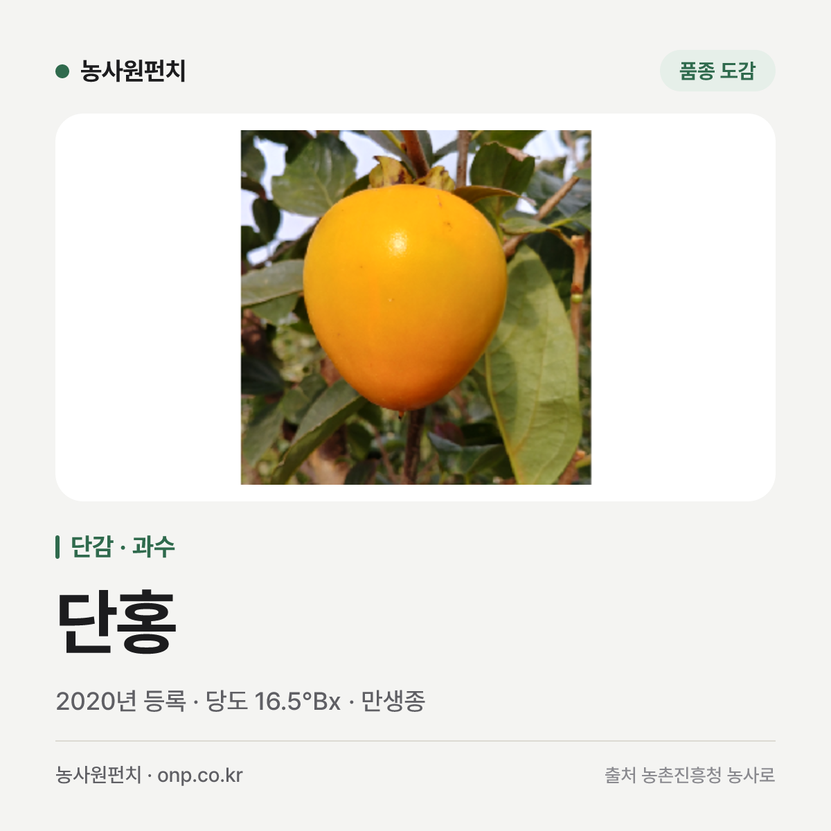 단홍