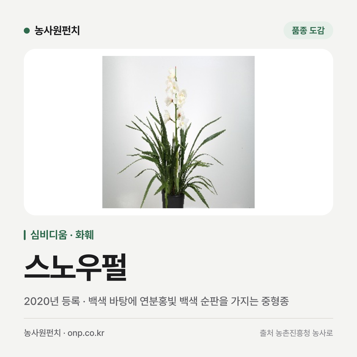 스노우펄