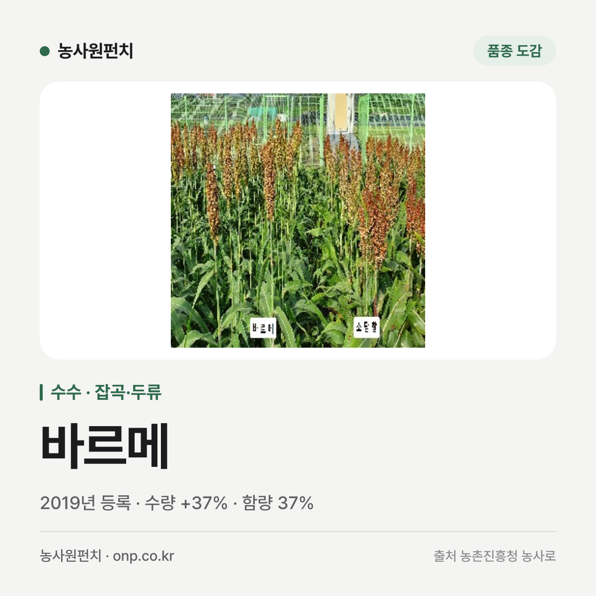 바르메