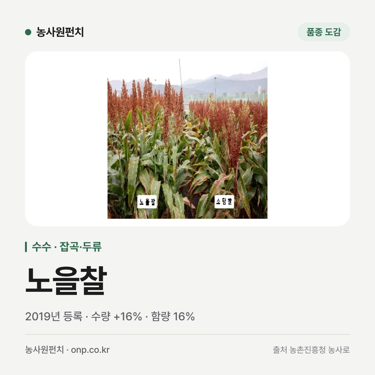 노을찰