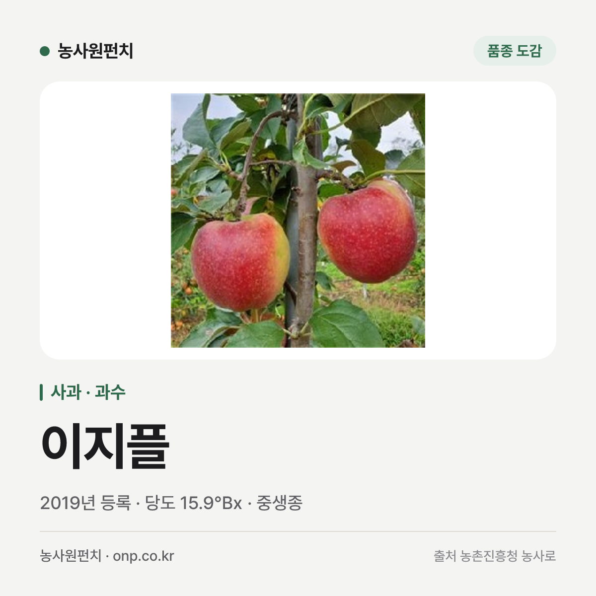 이지플
