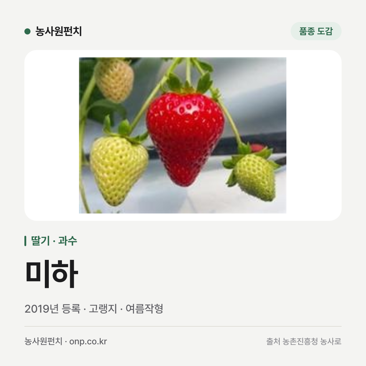 미하