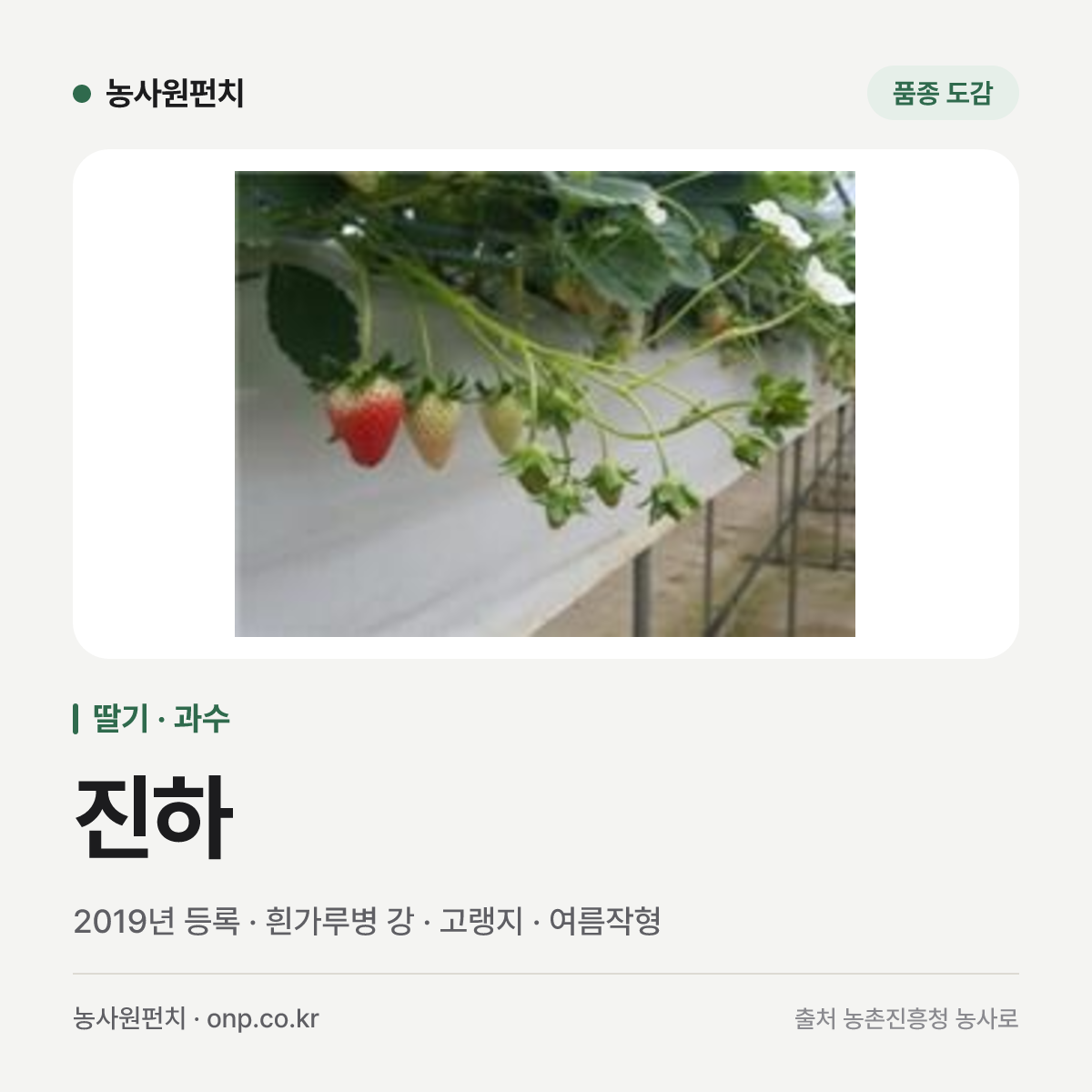 진하
