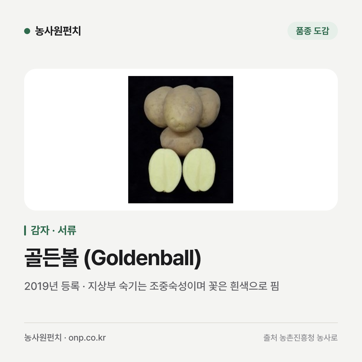 골든볼 (Goldenball)