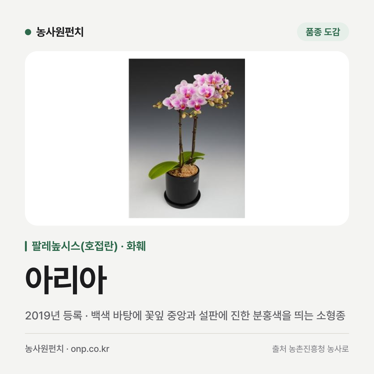 아리아