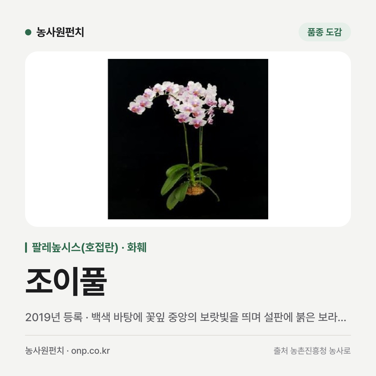 조이풀
