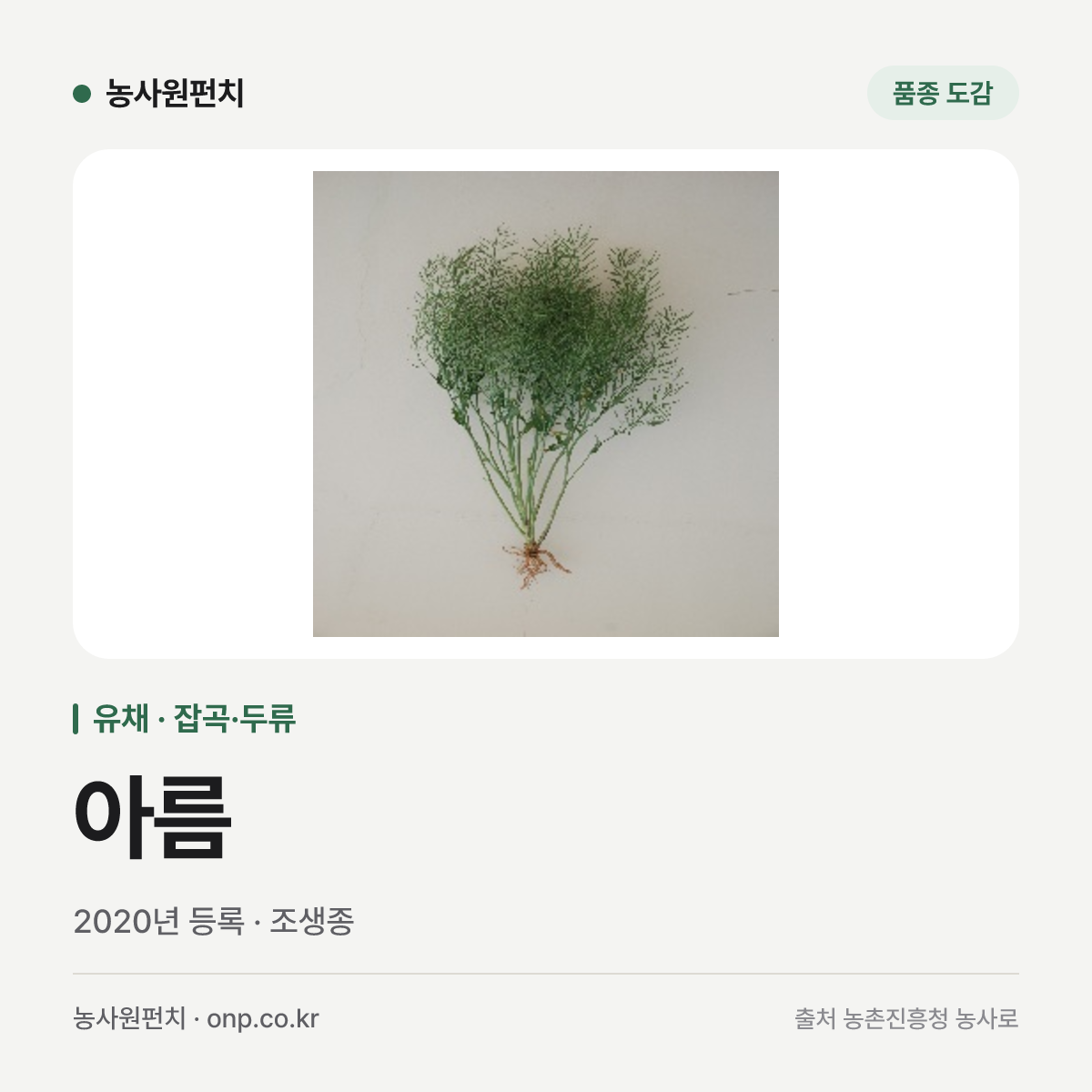 아름