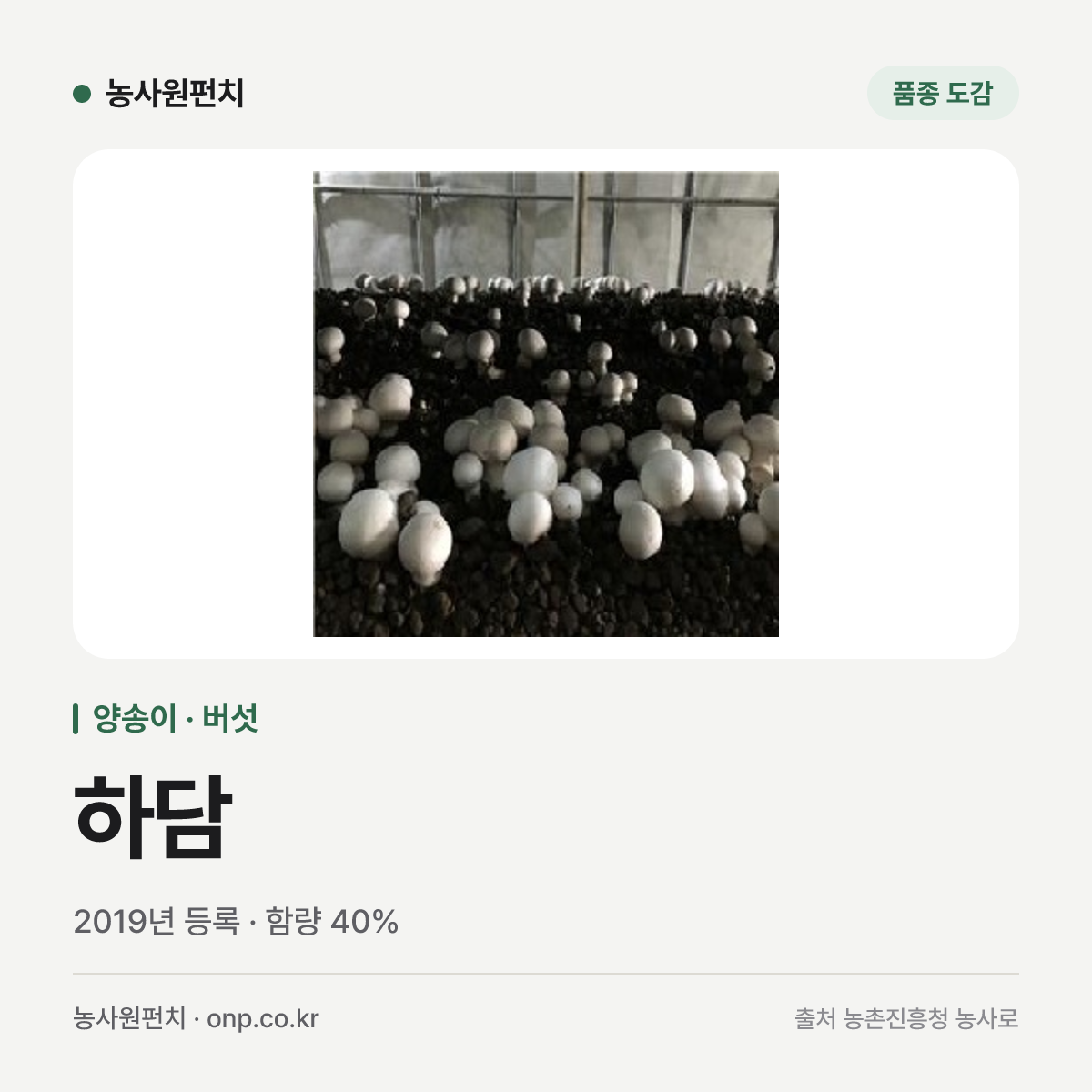 하담