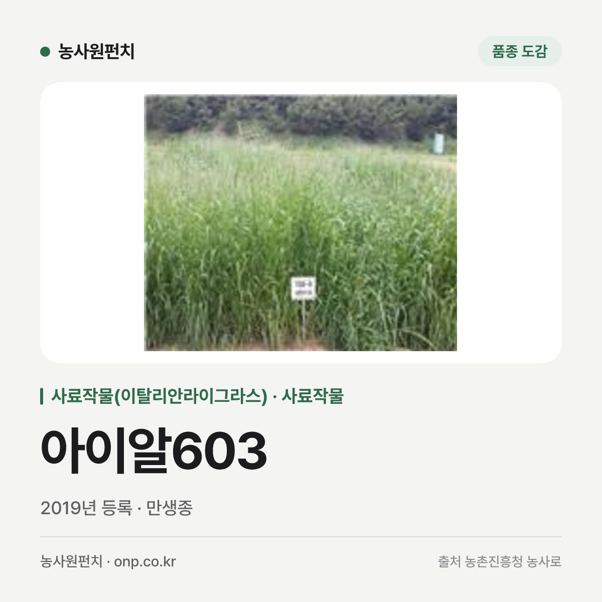 아이알603