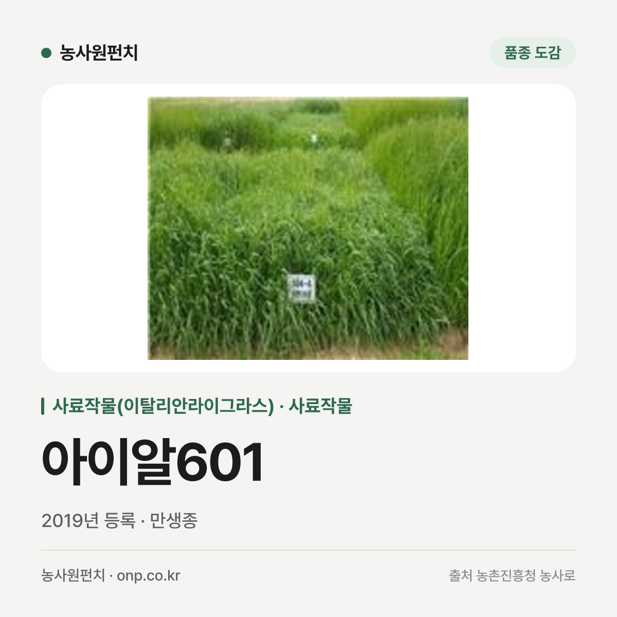 아이알601