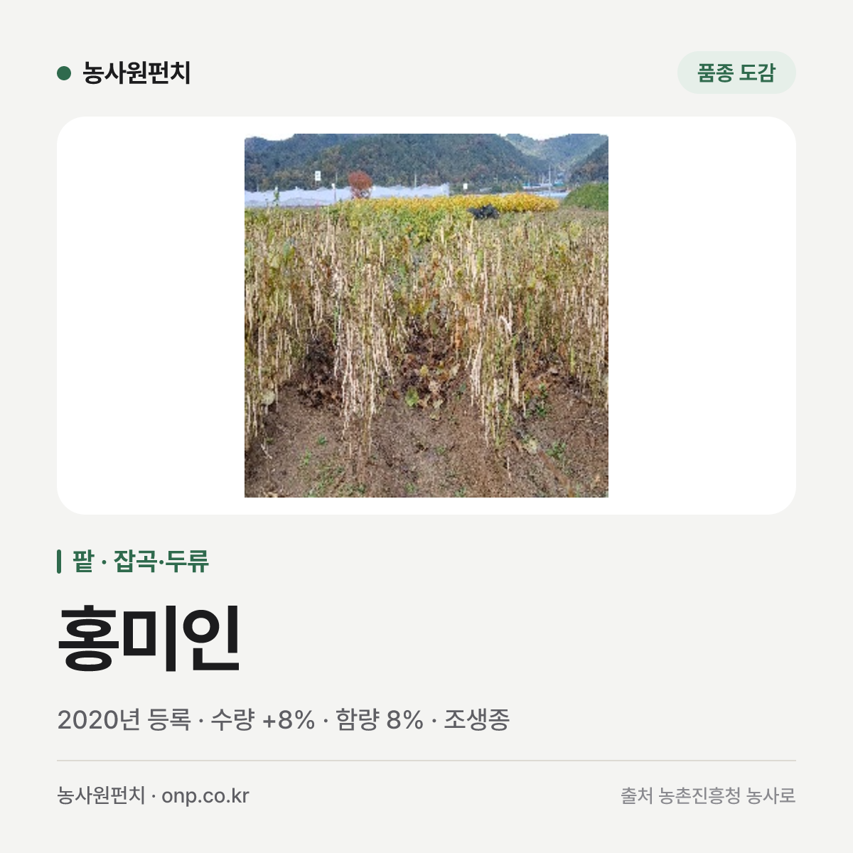 홍미인