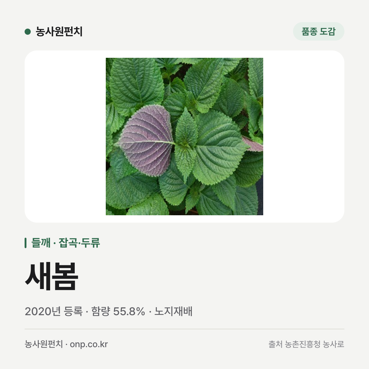 새봄