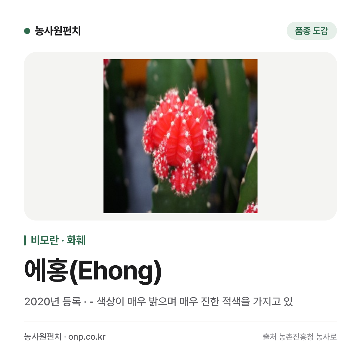 에홍(Ehong)