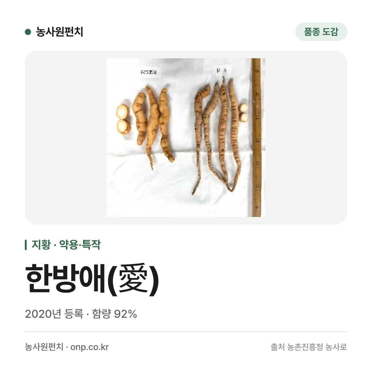 한방애(愛)