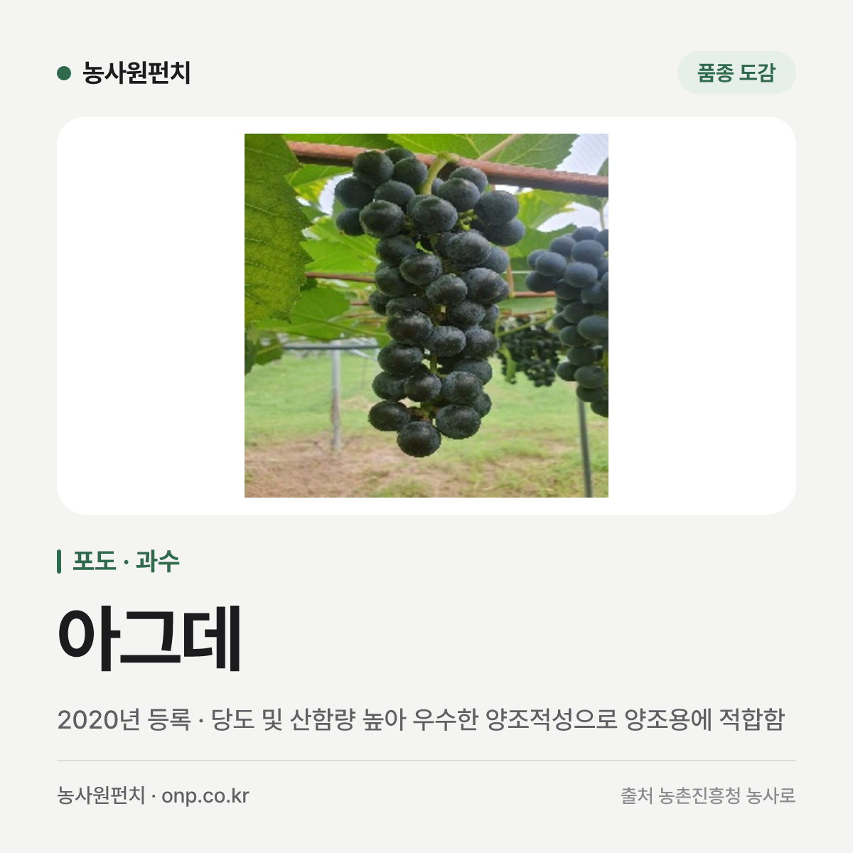 아그데