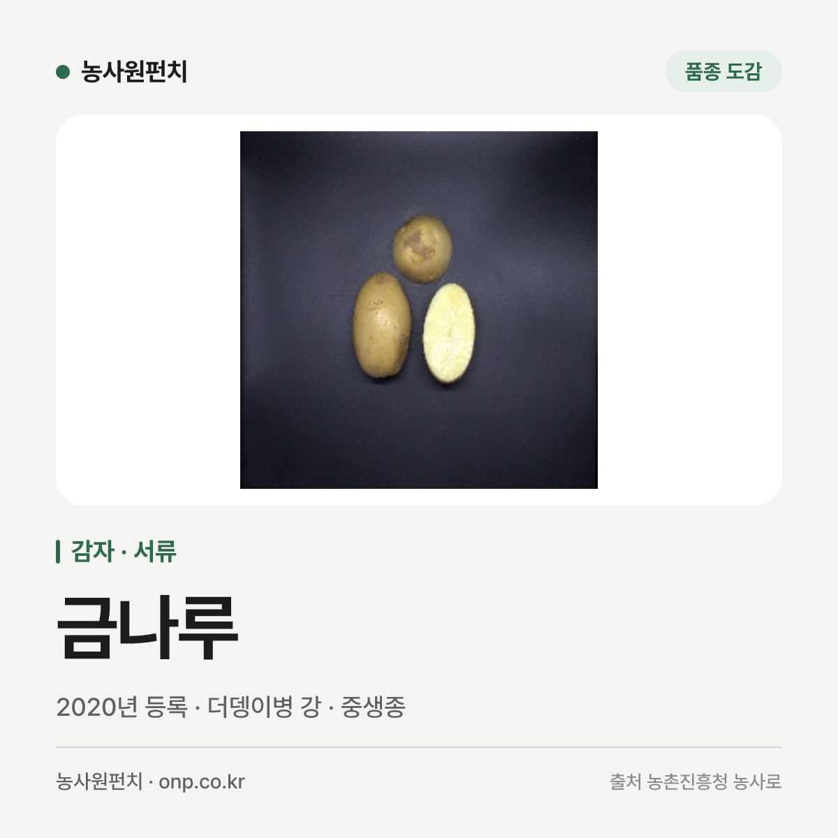 금나루