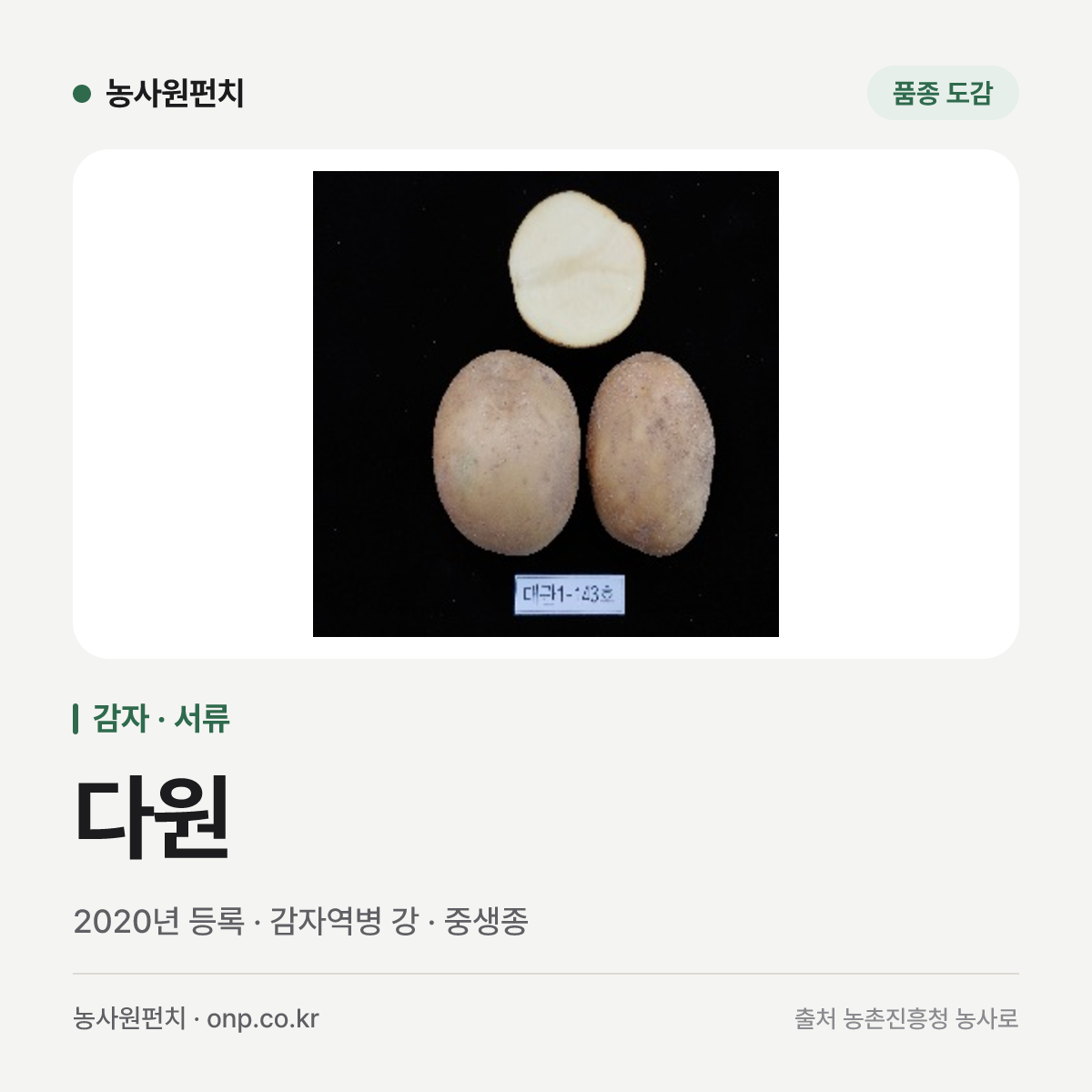 다원