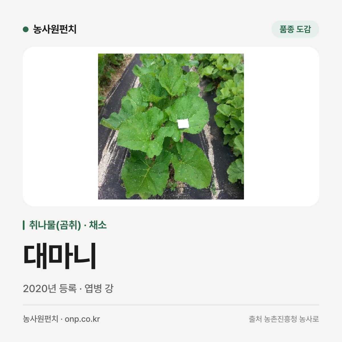 대마니