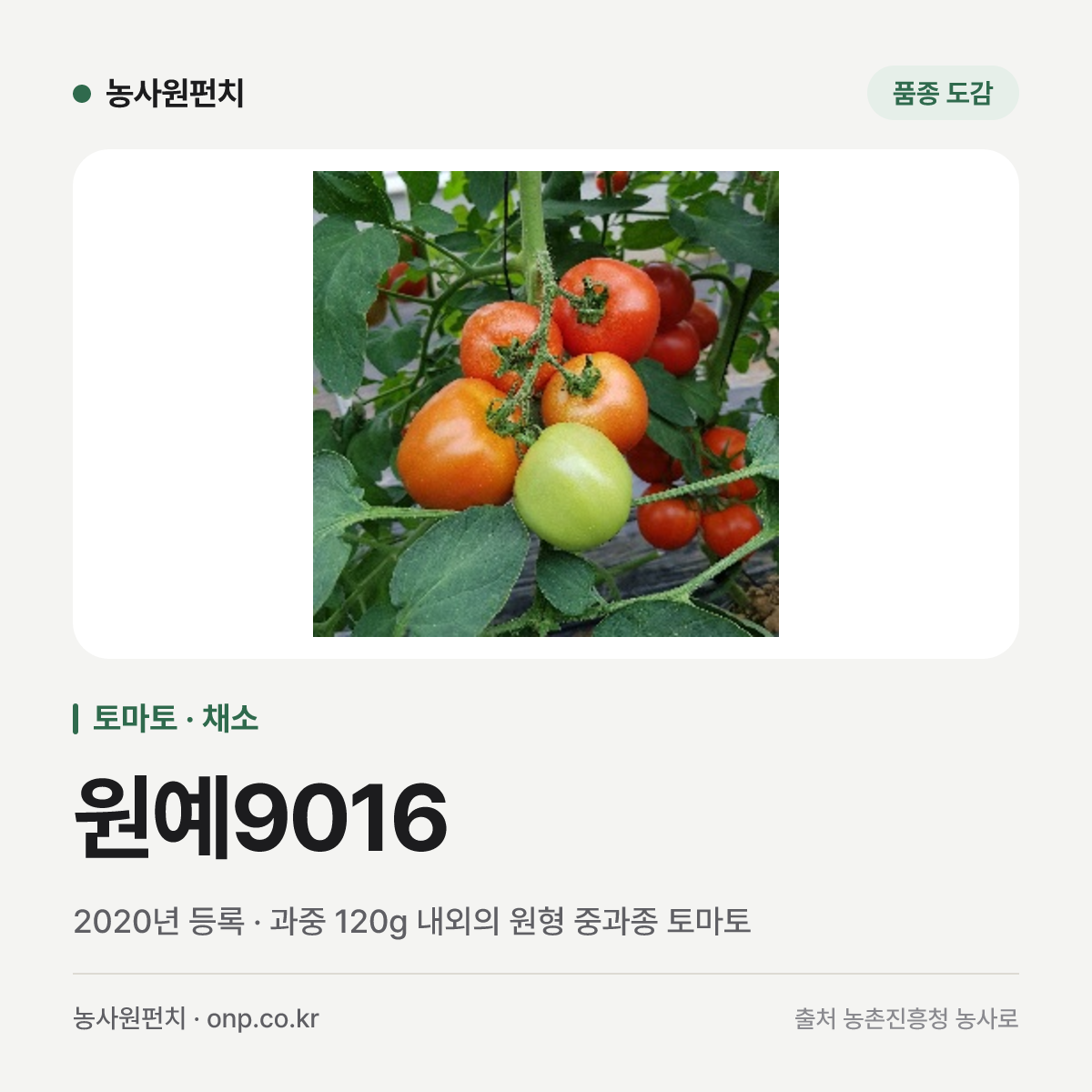 원예9016