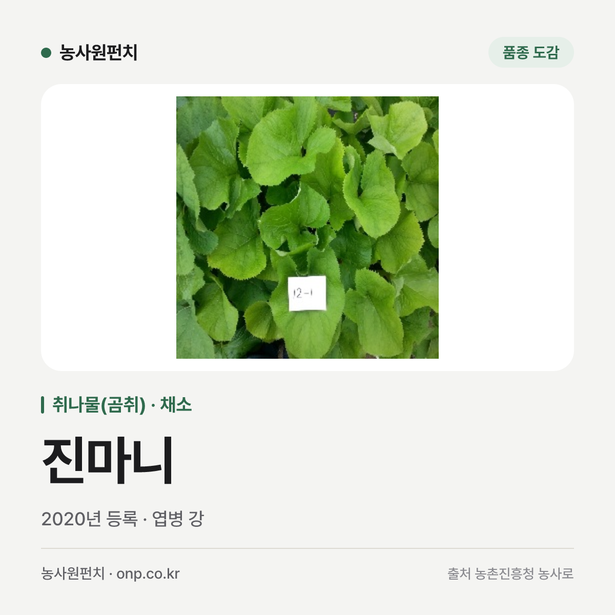 진마니