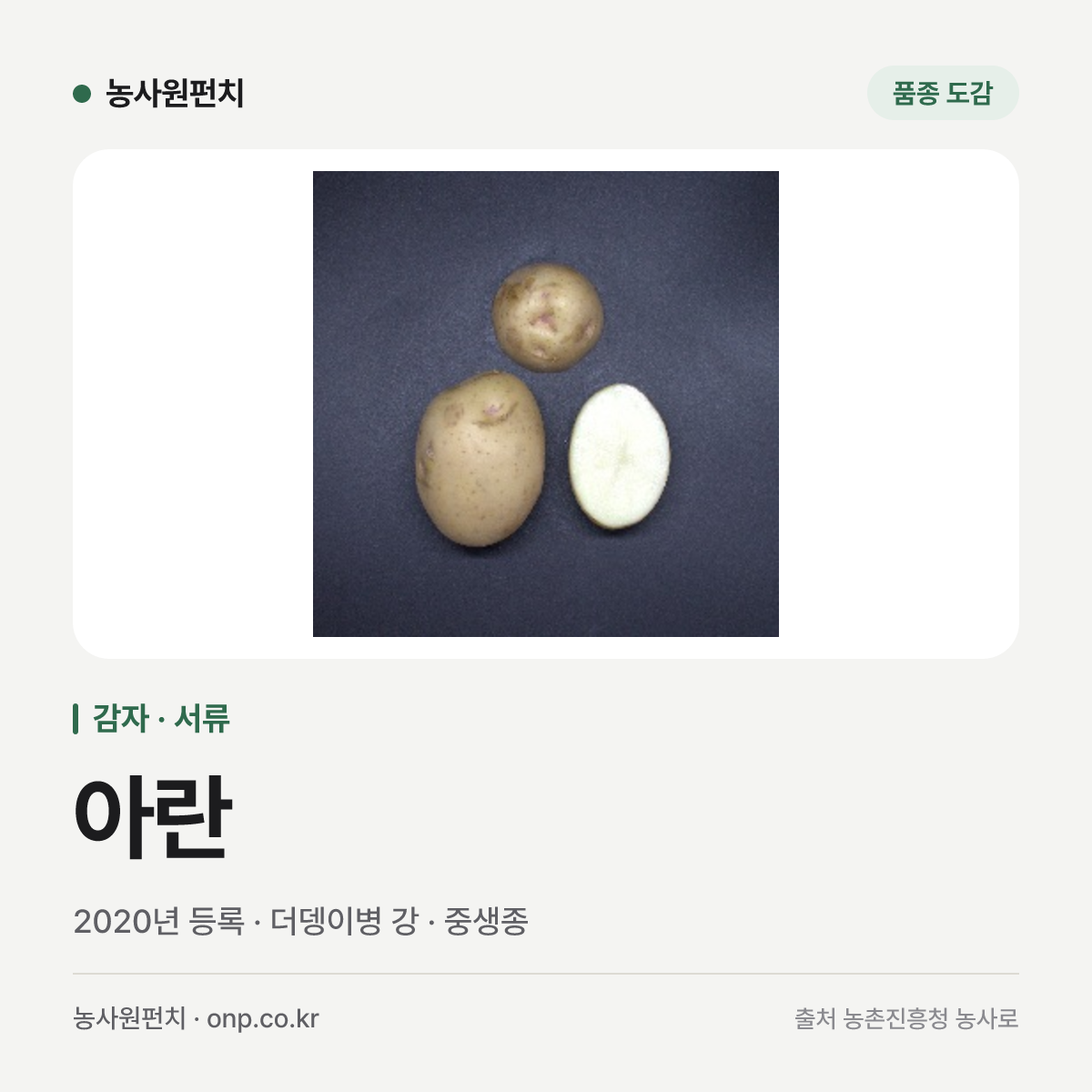 아란