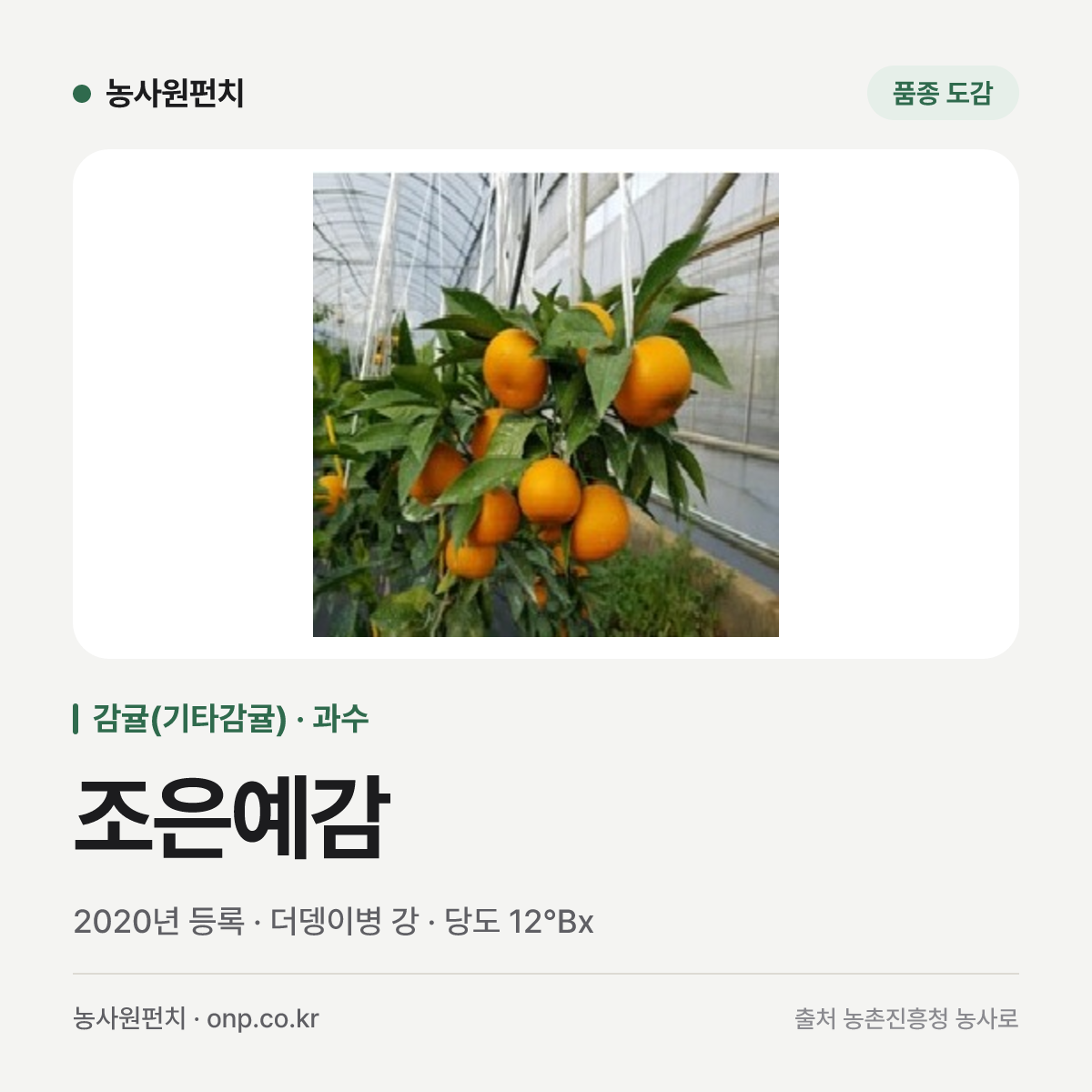 조은예감