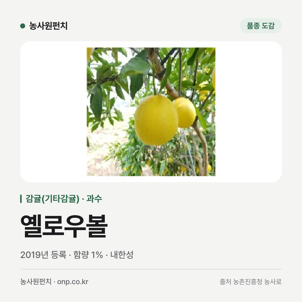 옐로우볼