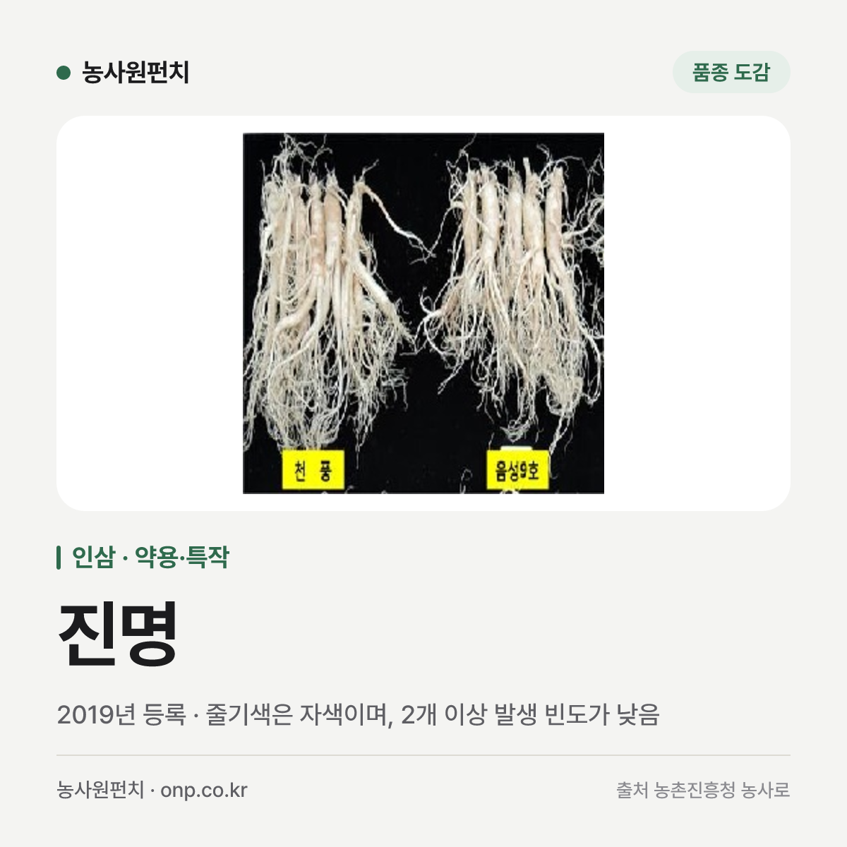 진명