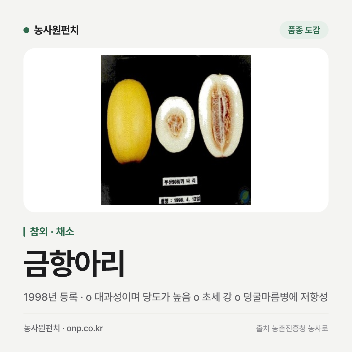 금항아리