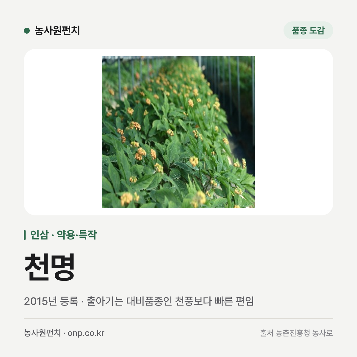 천명
