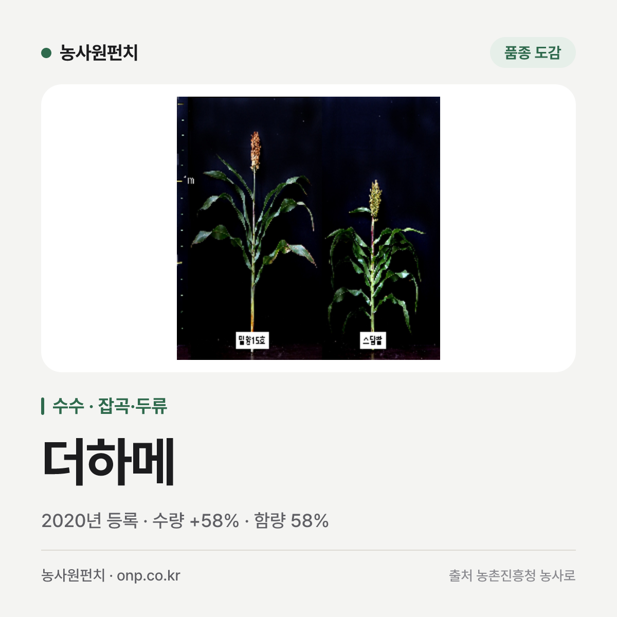 더하메