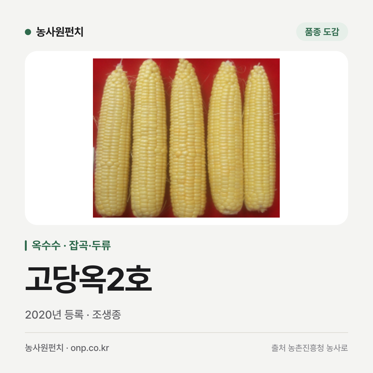 고당옥2호