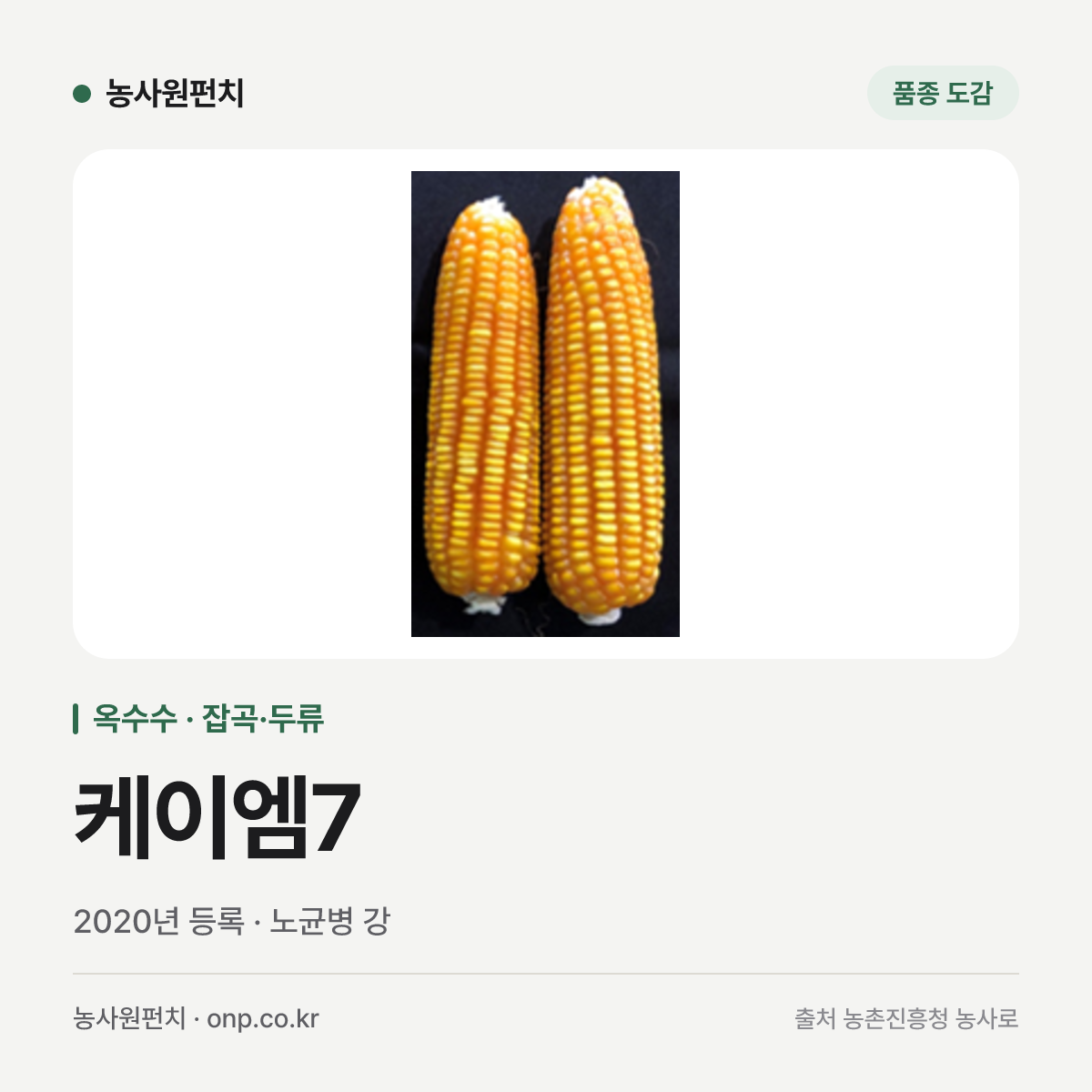 케이엠7