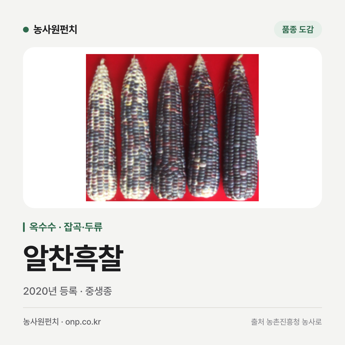 알찬흑찰