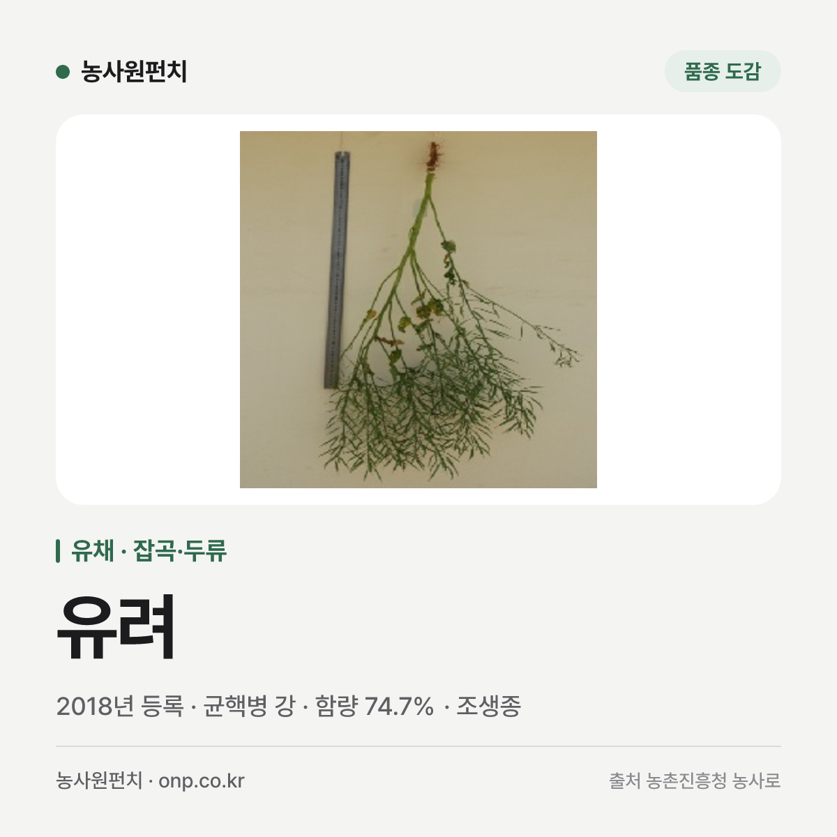 유려