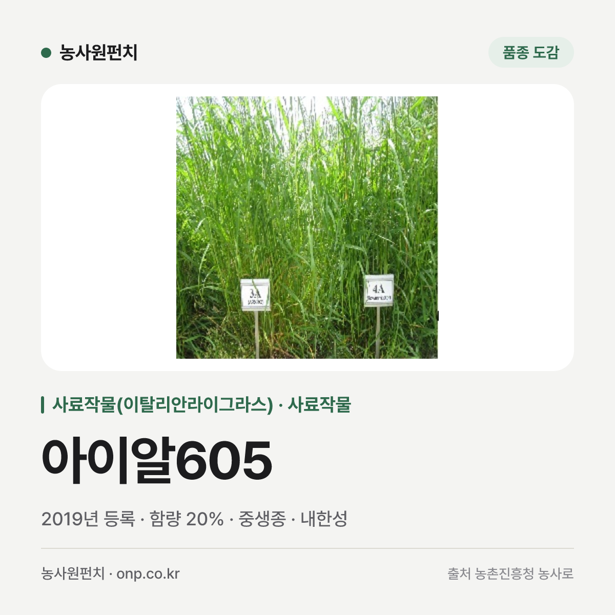 아이알605
