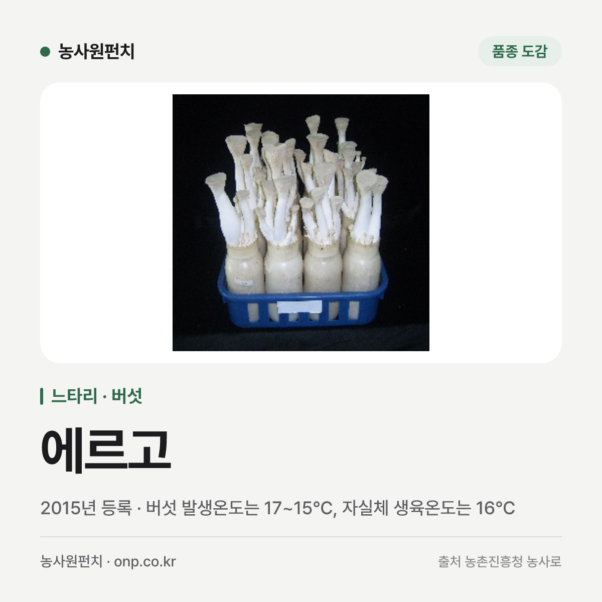 에르고