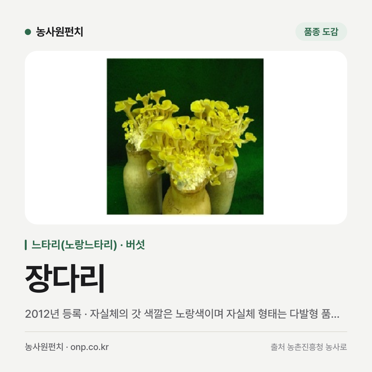 장다리