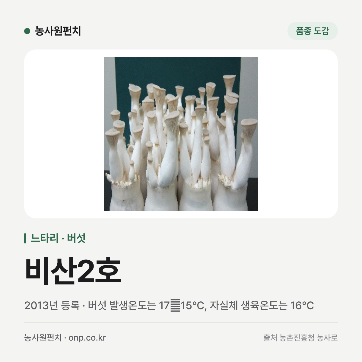 비산2호