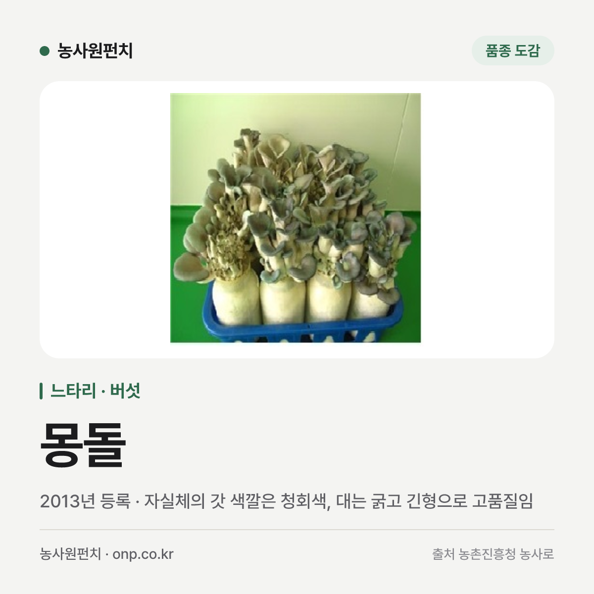 몽돌