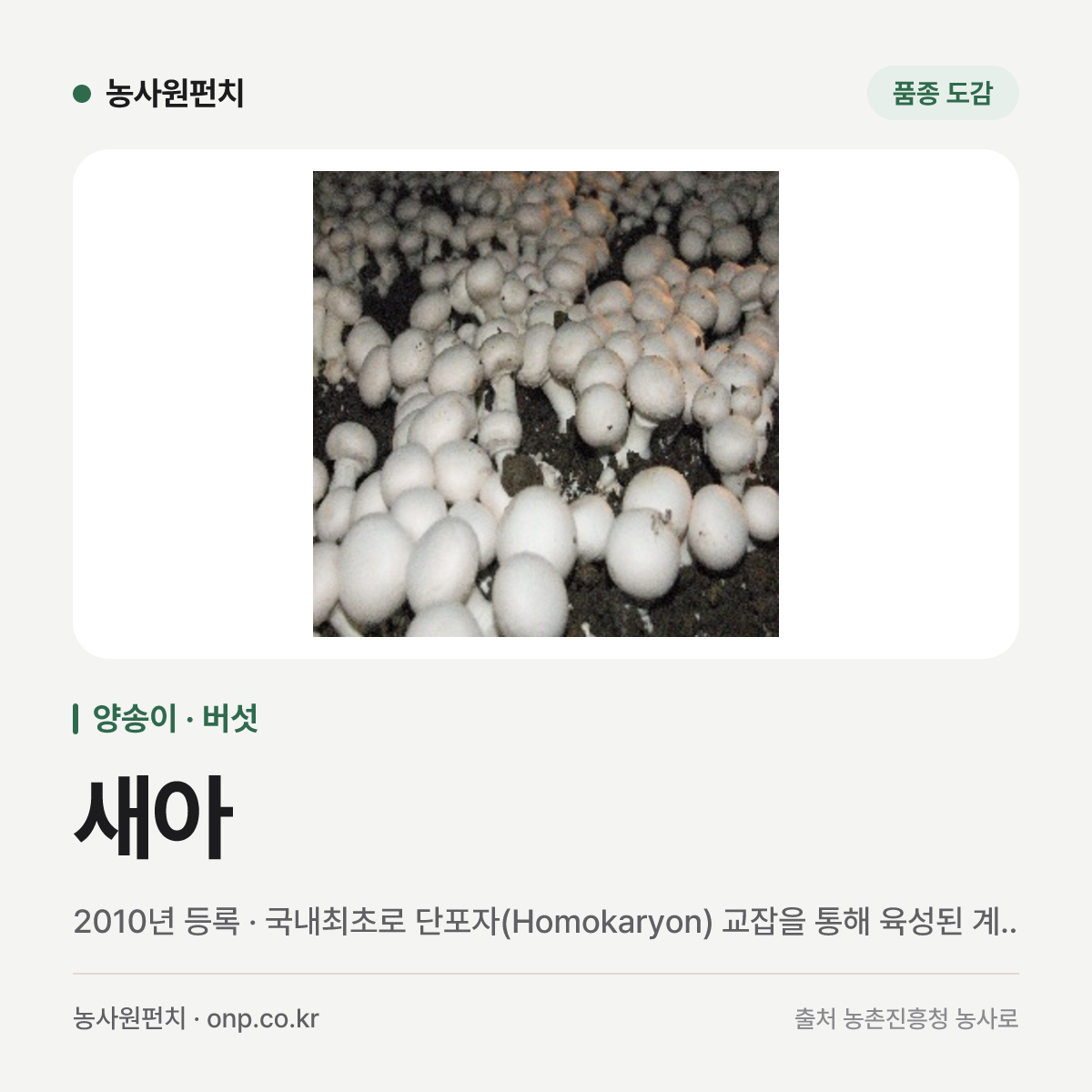 새아