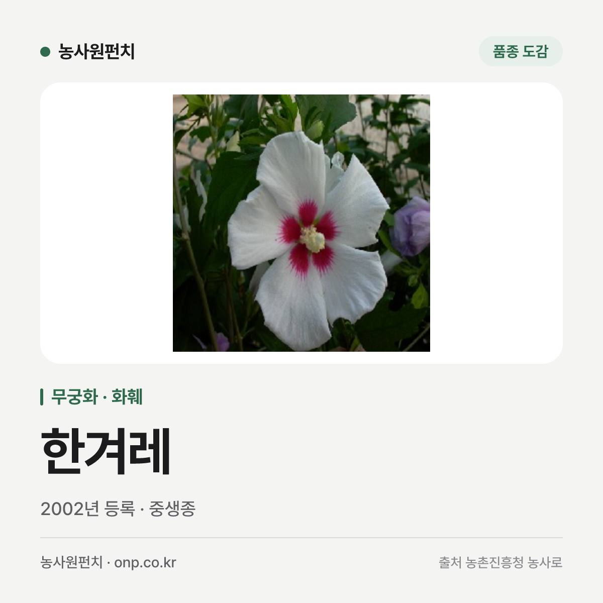 한겨레