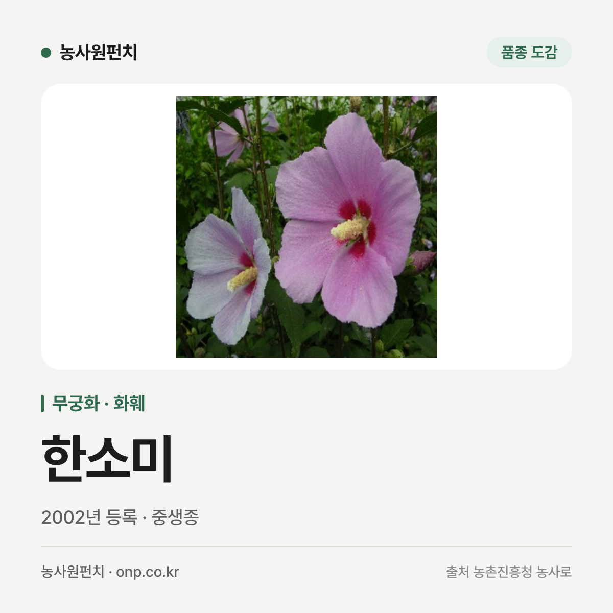 한소미