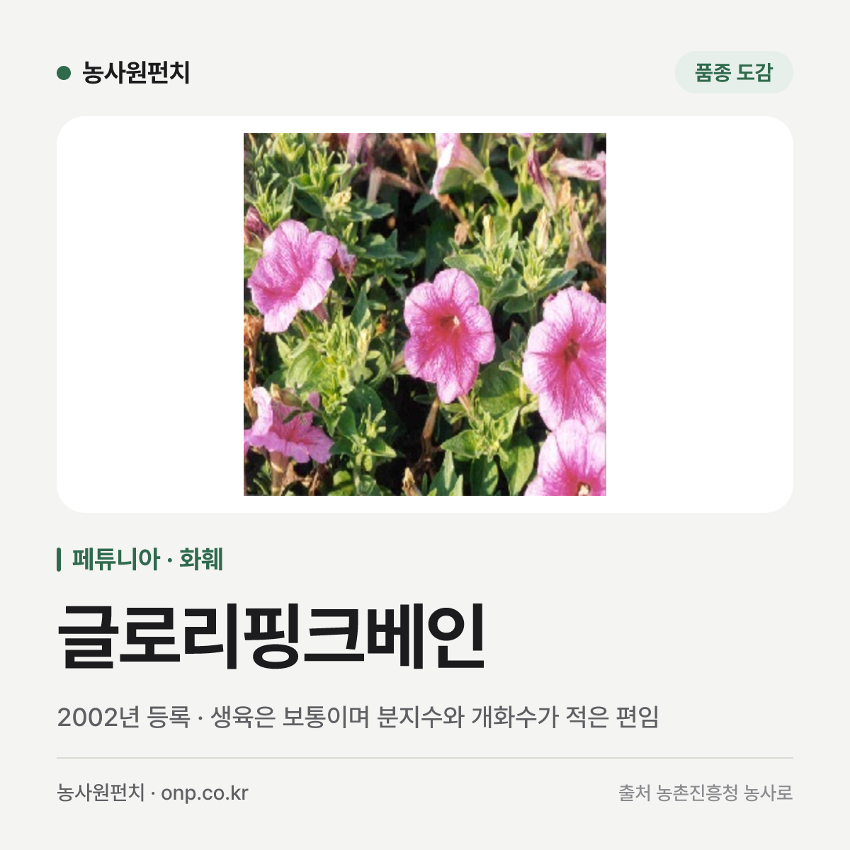 글로리핑크베인