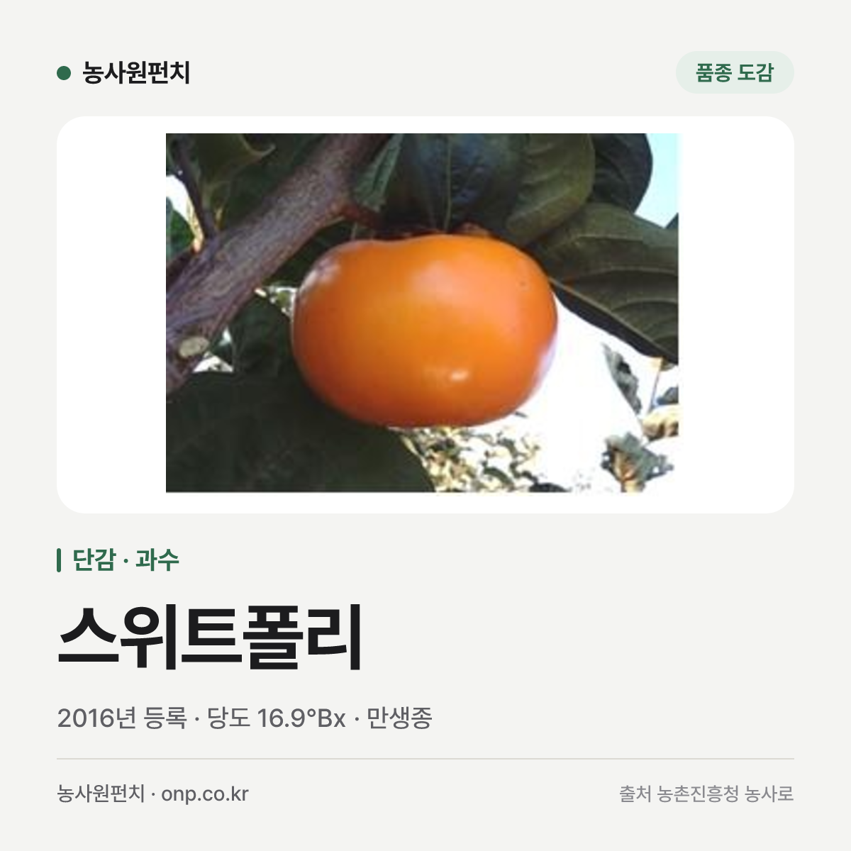 스위트폴리