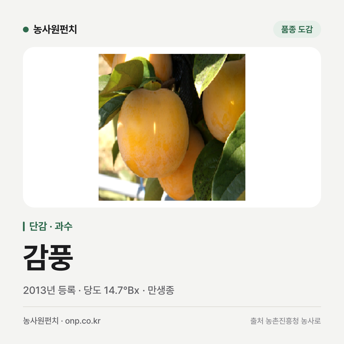 감풍