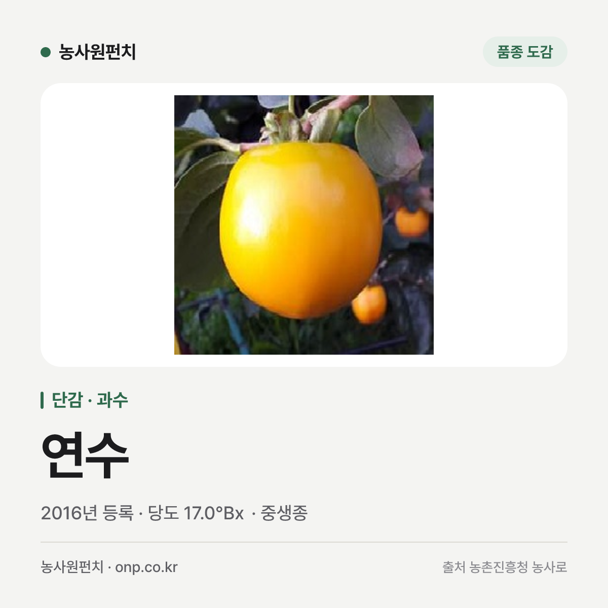 연수