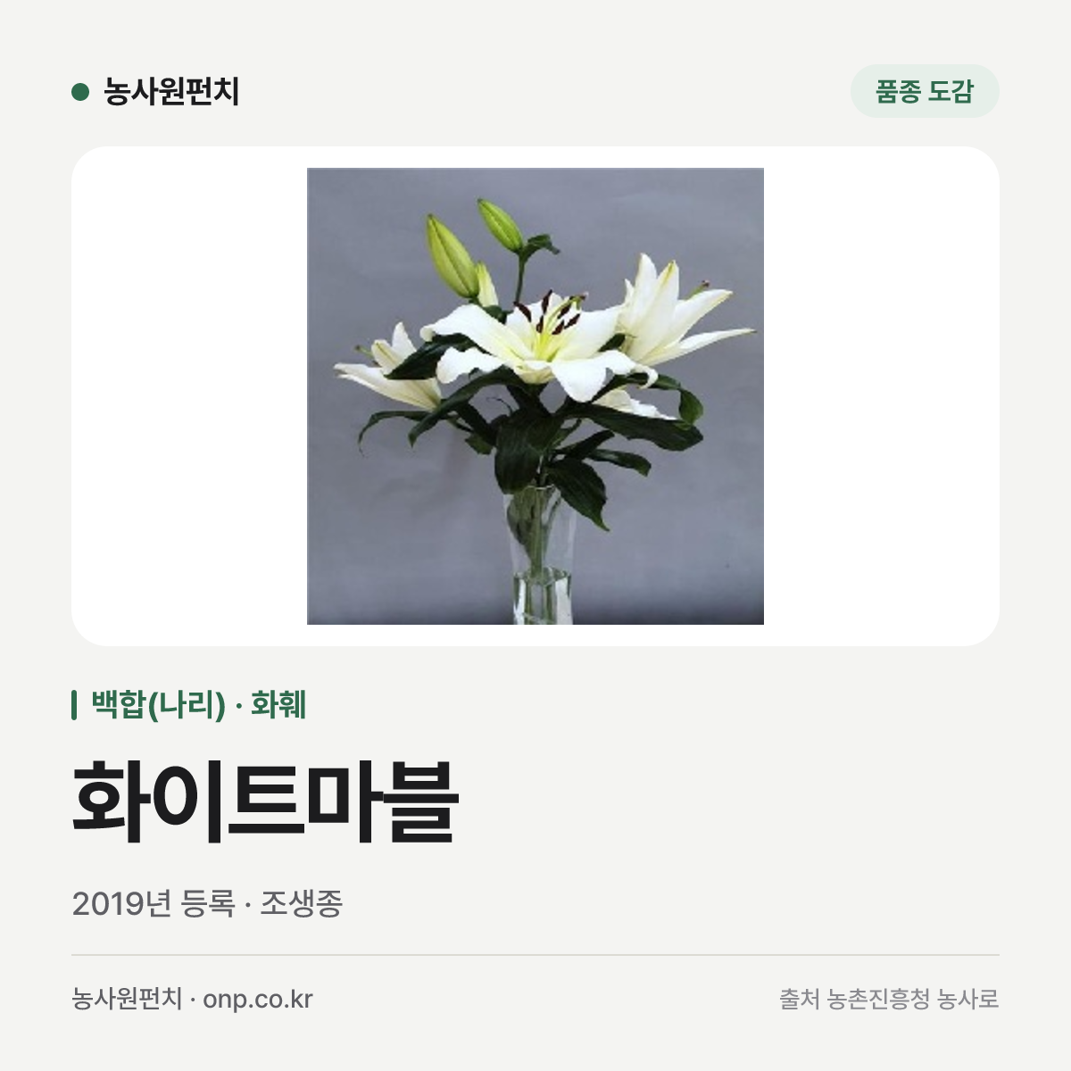 화이트마블